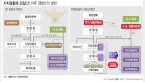 자치경찰제 2020년 전면 시행…민생치안 수사권 확보