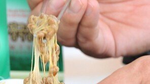 ‘청국장, 당뇨·비만·치매 등에 효과’…연구결과 발표