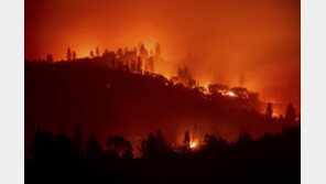 美 캘리포니아 화재 시신 13구 추가 수습…총 사망자 44명 ‘역대 최대’