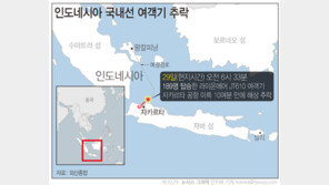 WSJ “보잉, 인니 추락사고 737맥스 시스템 위험 항공사에 안 알려”