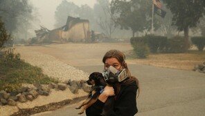 숫자로 본 캘리포니아 화재 피해…44명 사망·여의도 96배 잿더미