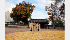 늦가을 만끽하는 시민들