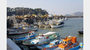 “中어선 사라진 연평도 해역에서 마음껏 꽃게 잡아요”