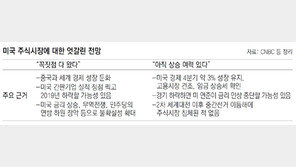 美주가 급락에… 트럼프 “민주당이 괴롭힐 거라는 예상 때문”