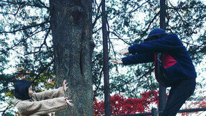 [고양이 눈]장풍