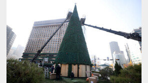 서울광장에 22m 크리스마스트리