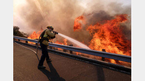 美 캘리포니아 최악 산불… 44명 사망 228명 실종