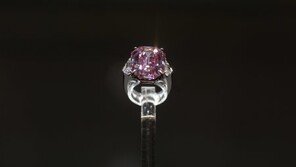 세계 최대 핑크다이아, 스위스경매서 567억원에 낙찰 신기록