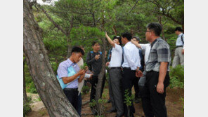“산림복구 힘 있게 추동”…남북협력 분위기 띄우는 北