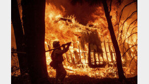 시신 6구 추가 발견…北캘리포니아 산불사망 48명으로 증가