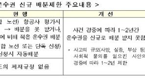 ‘갑질’ 등 사회적물의 일으킨 항공사 운수권 제한