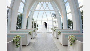 제주에서 결혼하려면 신혼집 포함 1억9700만원 있어야