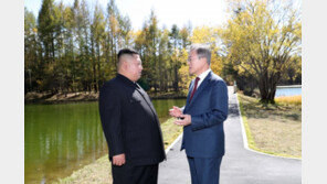 文대통령 “내년 한·아세안 특별정상회의에 김정은 초청 적극 검토”