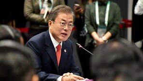 文대통령, 15일 펜스 부통령 접견…APEC서 시진핑과 한·중 정상회담