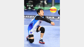 [스토리 발리볼] 삼성화재 선산을 지키는 굽은 소나무, 김강녕