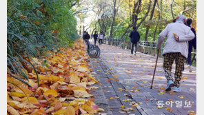 낙엽 밟으며 산책