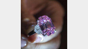 세계 최대 핑크 다이아, 565억원에 낙찰