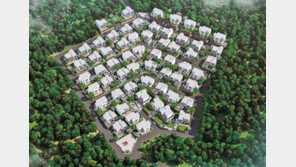 여주역 인근 대단지 타운하우스