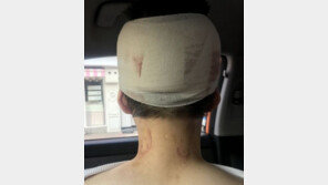 이수역 폭행 사건 속 ‘혐오’ 용어…‘메갈’ ‘한남’ 모욕죄 처벌 이렇게 많아?