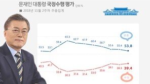 文대통령 지지율 53.8%…“7주째 완만한 하락세”