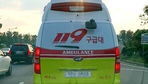 제주서 소나무재선충 방제 작업 60대, 쓰러지는 고사목에 맞아 숨져