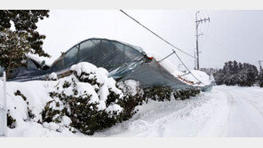 ‘한파’도 자연재난…최대 1000만원까지 재난지원금 준다