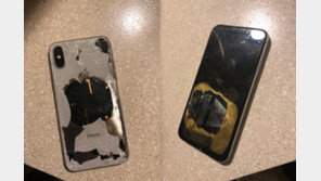 미국서 충전하며 iOS 업데이트하던 아이폰X ‘폭발’
