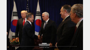 文대통령, 펜스 만나 “北 대화로 이끈건 강력한 한미동맹 힘”