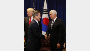 文대통령 “한미동맹, 北 대화 이끌어”…펜스 “CVID 진전 봐야, 할 일 많아”