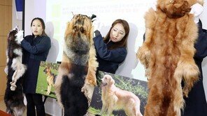 개·고양이 도살해 만든 모피 대량 수입…“뼈까지 붙어있어”