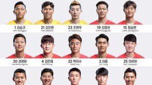 황인범, 손흥민 달던 7번·황의조 16번 …벤투호 11월 등번호 공개