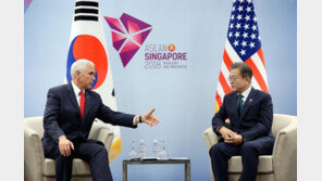 文대통령 만난 펜스 “수십년간 北 믿었지만 약속 깨져…실수 반복 안해”