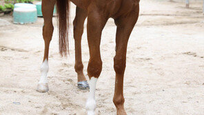 천지가 vs 문학프린세스 “3연승 주인공은 나야 나!”