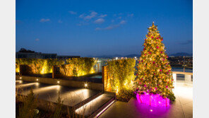 도심 속 자연서 즐기는 휴식, 워커힐 ‘윈터 패키지’