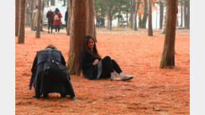 워커홀릭도 옆구리 시리다…미혼남녀 65% “찬바람에 외로움”