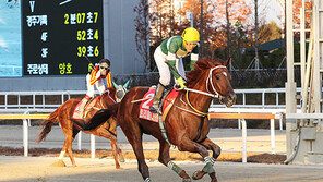 대통령배 4연패 트리플나인, 그랑프리만 남았다