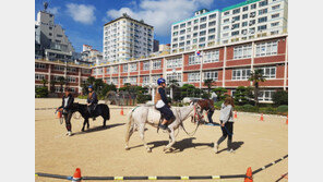 한국마사회, 교육기부대상 교육부장관상 수상
