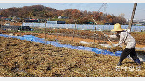 늦가을 농가 풍경