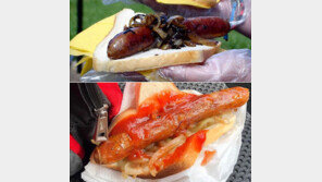 소시지 먼저냐… 양파가 먼저냐