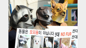 “모피 옷 입지 마세요”