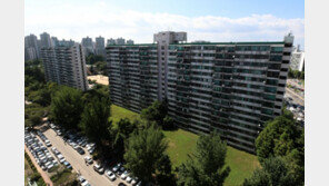 ‘1+1 재건축’ 장려할 때는 언제고…‘애물단지’ 전락 위기