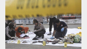 라이언에어 희생자 유가족, 보잉사에 소송…“불안전 설계”