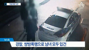 변호사 “이수역 폭행사건, 女가 먼저 시비? 법적으론 안 중요, 문제는…”