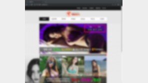 ‘조건만남’ 유혹…실제 만남 없이 돈만 챙긴 일당 검거