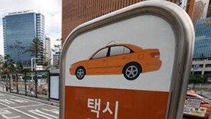 서울시 펫택시 도입에 ‘집사들’ 두팔 올려 환영…女전용 택시는 갑론을박 첨예