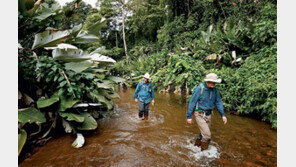 [책의 향기]온두라스 정글에 숨죽인 마야 고대도시의 비밀