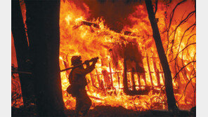 캘리포니아에서 왜 초대형 산불이 자주 발생하나… 건기의 ‘산타아나 바람’-거주지 확대-지구온난화 3박자 갖춰