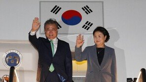 文대통령, 한·파푸아뉴기니 정상회담…교류·협력 증대방안 논의