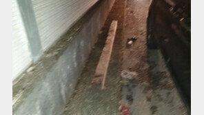 고속도로에 떨어진 1.5m 각목에 차량 12대 ‘쾅쾅쾅’