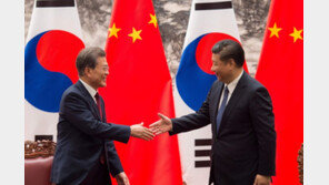 文대통령, 시진핑 주석과 회담 돌입…北비핵화 논의 주목